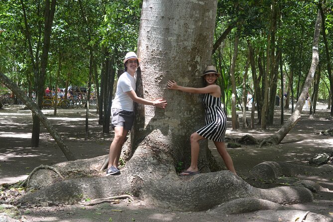 TULUM 4x1 : Archaeological Site, Cenote, 5th Avenue and lunch - Guides who make the ruins meaningful