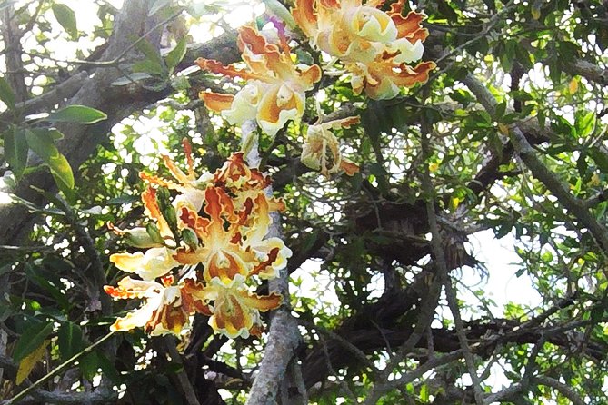 Tulum Archaeological Site & Sian Ka'an Muyil Tour from Tulum - What the $169 price really buys you