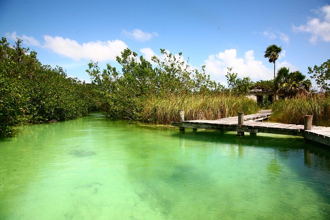 Tulum Archaeological Site & Sian Ka'an Muyil Tour from Tulum - A taco lunch that breaks up the sightseeing