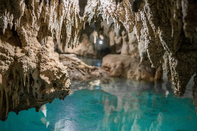 Tulum & Cenote Adventure - Swimming at Parque de Cenotes Yax-Muul