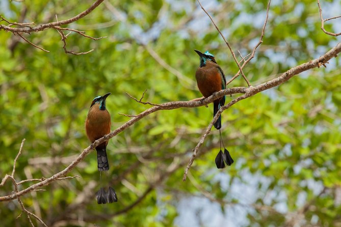 Tulum & Cenote Adventure - The early start and the real length of the day