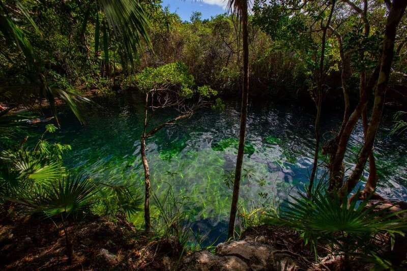 Tulum: Cenote Trail Bike Tour - Eating in a private jungle setting