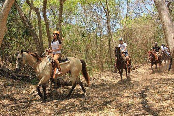 Tulum Jungle Horseback Ride + ATV + Ziplines + Cenote Combo Tour - The horseback ride needs realistic expectations