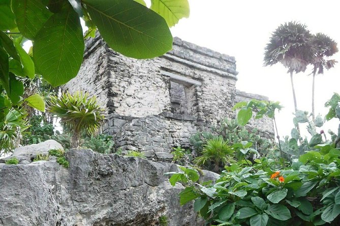 Tulum Ruins Tour (Private, Half Day) - What Is Included, and What Is Not