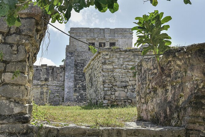 Tulum Ruins, Turtles in Akumal and Cenote tour - Akumal Bay and the sea turtle swim