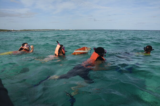 Tulum: Snorkeling and Private Sailing Tour - Snorkeling at the reef