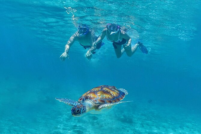 Tulum, Snorkeling with Sea Turtles, Cenote and Beachside Lunch - A big day from Cancun or Riviera Maya