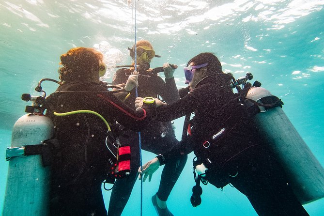 Two reef discovery dives with professional instructor (no experience necessary) - A Gentle First Step Into Scuba