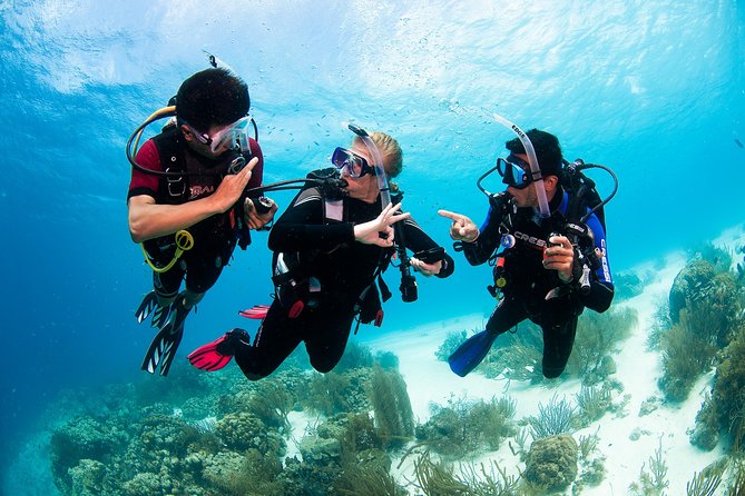 Two reef discovery dives with professional instructor (no experience necessary) - Timing, Cancellation, and Small Practical Details