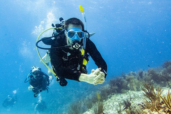 Two reef discovery dives with professional instructor (no experience necessary) - The Break Before the Reef