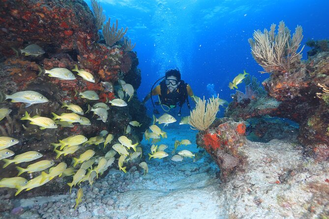 Two Tanks Scuba Diving for Beginners in Cancun - Pool practice before open water