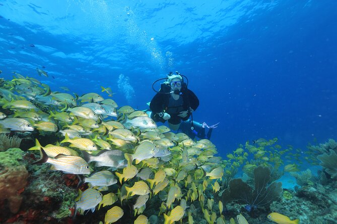 Two Tanks Scuba Diving for Beginners in Cancun - 8:00 a.m. check-in at Hotel Sotavento