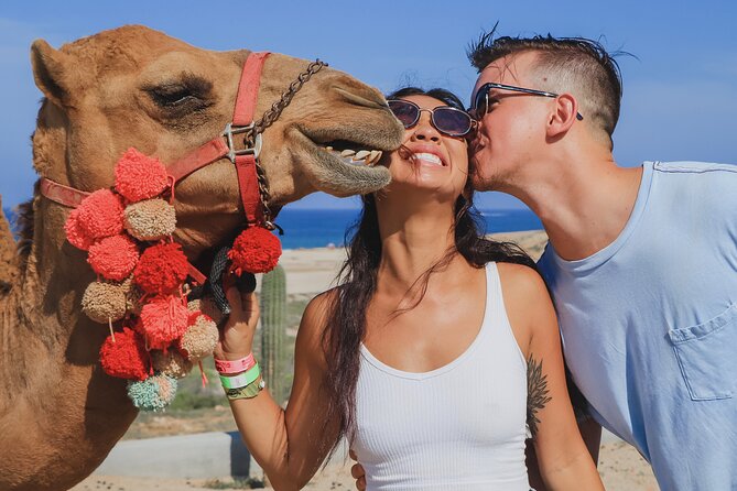 UTV Adventure with Free Camel Ride and Sky Bikes - Why this Cabo combination tour is appealing