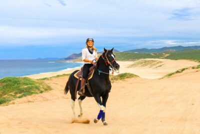 UTV, Free Horseback Ride, and Sky Bike Adventure Combo
