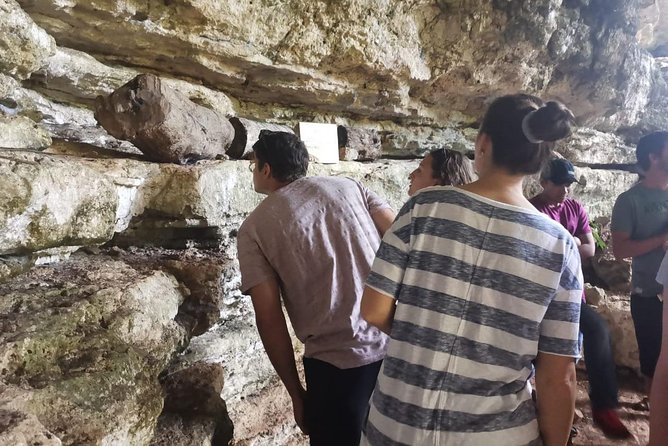 Valladolid Mayan Bees Tour with Lunch or breakfast and Honey Tasting - Starting at Xkopek Parque Apícola in Valladolid