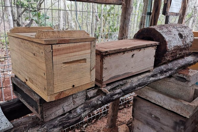 Valladolid Mayan Bees Tour with Lunch or breakfast and Honey Tasting - Opening a hive and seeing bee architecture