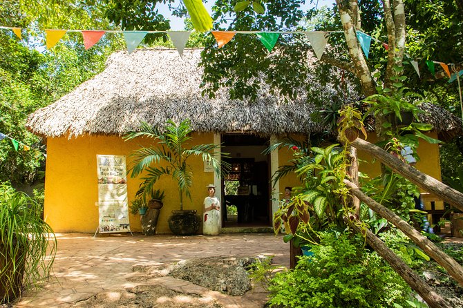 Valladolid Mayan Bees Tour with Lunch or breakfast and Honey Tasting - Timing, comfort, and the right kind of visitor
