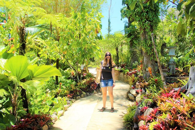 Vallarta Botanical Garden and Tequila Tasting from Puerto Vallarta - The Road From Puerto Vallarta to the Garden