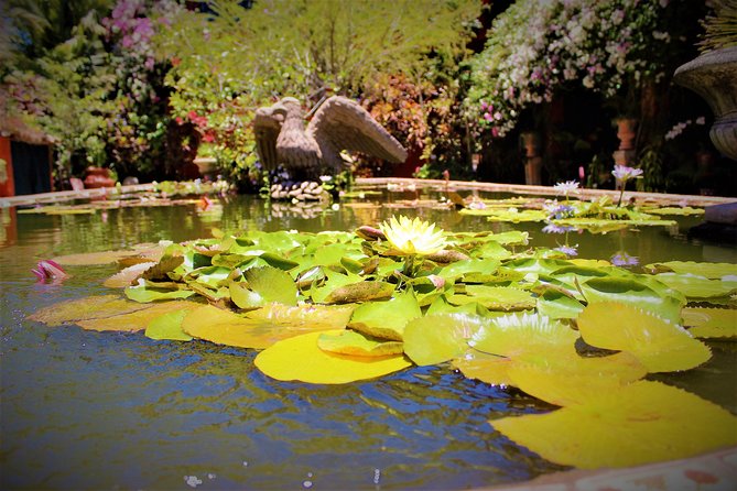 Vallarta Botanical Garden and Tequila Tasting from Puerto Vallarta - Guides Make a Big Difference