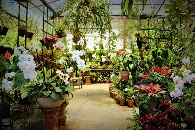Vallarta Botanical Garden and Tequila Tasting from Puerto Vallarta - Two Hours Among Tropical Plants