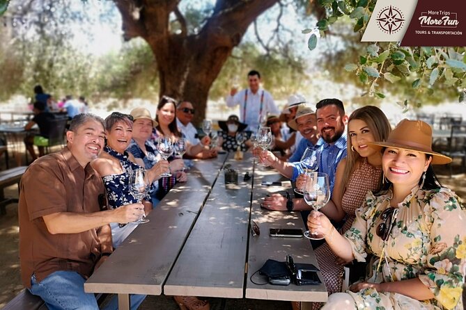 Valle de Guadalupe winery and brewery tours - Why a private Valle de Guadalupe day works so well