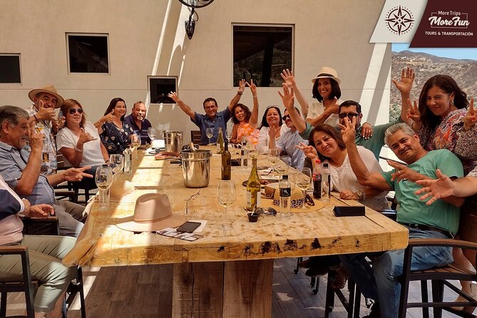Valle de Guadalupe winery and brewery tours - Wine, beer, food, and valley scenery