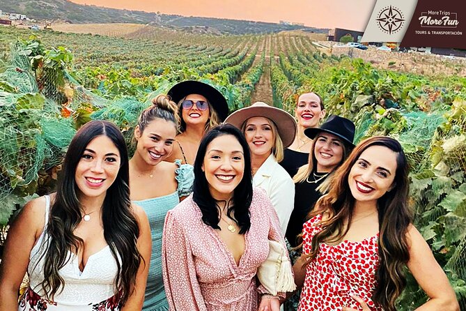 Valle de Guadalupe winery and brewery tours - Is $450 a good value for up to 12 people?