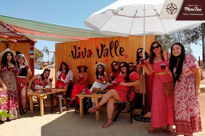 Valle de Guadalupe winery and brewery tours - Who should book this outing?