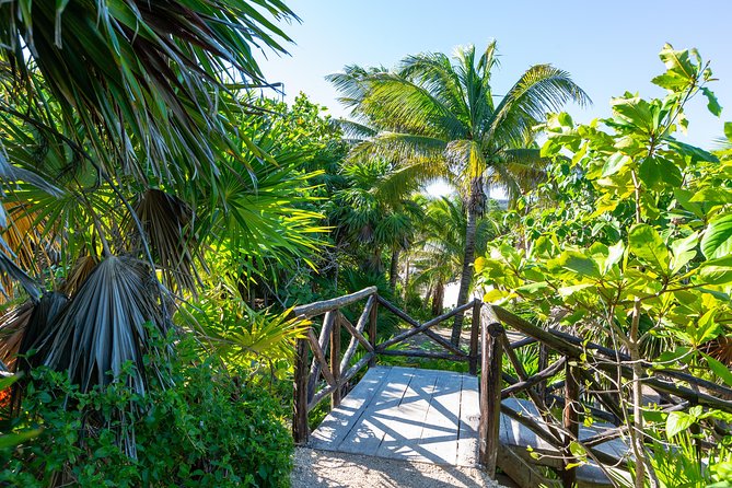 Viator Exclusive: Tulum Ruins, Reef Snorkeling, Cenote and Caves - Group size, guides, and the pace of the day