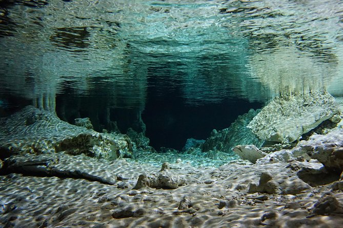 VIP Cenotes Private Tour - Cenote Xunaan Ha: The stop for swimming and jumps
