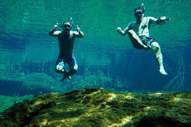 VIP Cenotes Private Tour - Families, couples, and groups of friends