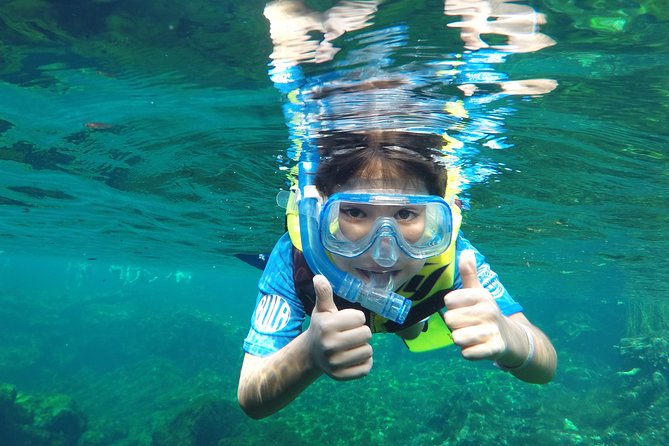 VIP Cenotes Private Tour - Yal-ku Lagoon: Begin with fish and open water