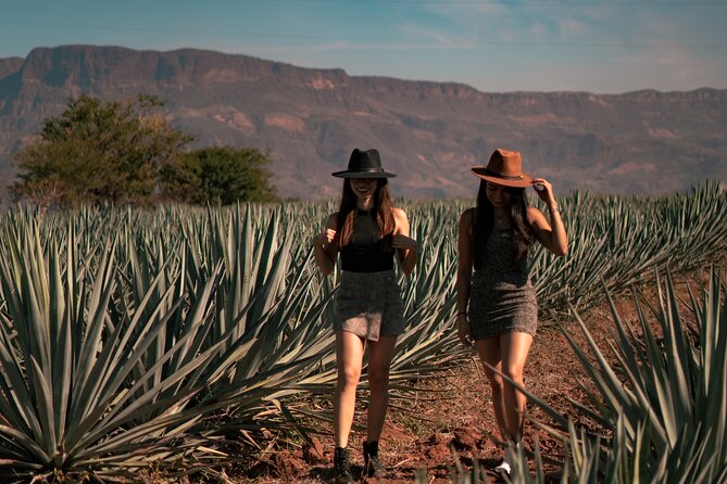 Vip Tequila Experience - Cantaritos El Güero and the party finish