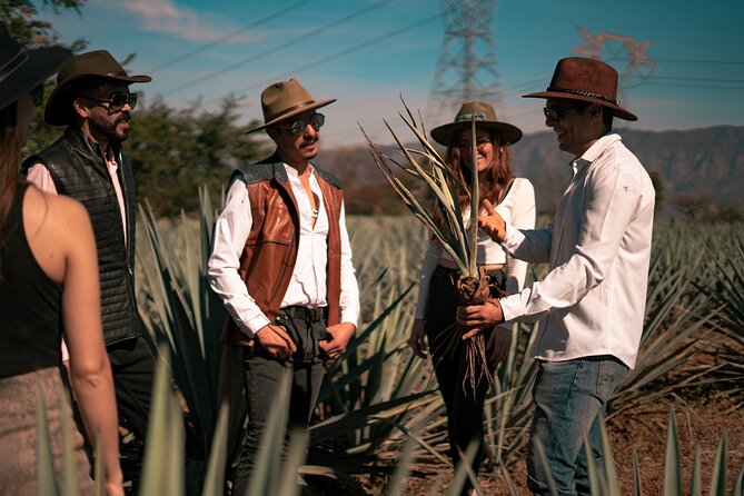 Vip Tequila Experience - Guides make the difference