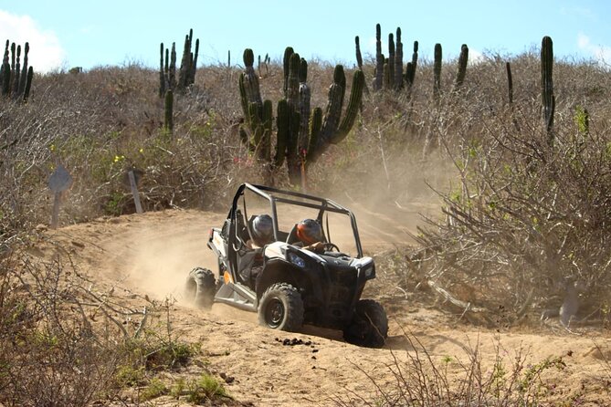 Viper Trail UTV Small-Group Experience in Cabo San Lucas - Food, Water, and the Included Gear