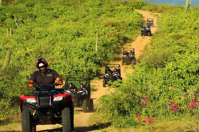 Viper Trail UTV Small-Group Experience in Cabo San Lucas - Photos, Insurance, and the Real Cost