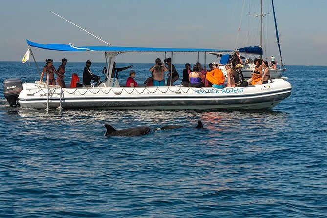 Whale and Dolphin Watching with a Biologist in Puerto Vallarta - Meeting the marine team at Marina Vallarta