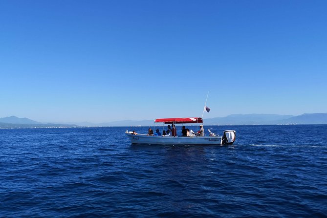 Whale Encounter Puerto Vallarta - Guides who make the difference