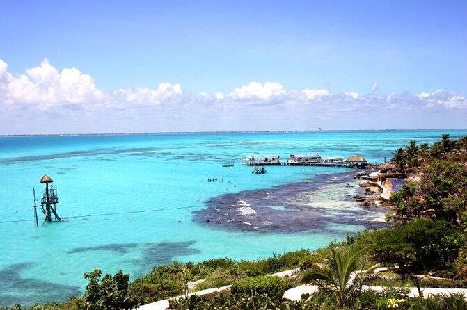 Whale Shark Adventure in Isla Mujeres and Cancun - Key points before you book