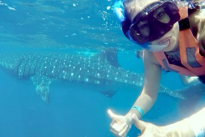 Whale Shark Adventure in Isla Mujeres and Cancun - Lunch, ceviche, and what is included