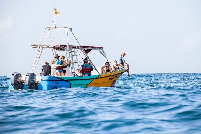 Whale Shark and Snorkeling Adventure from Isla Holbox - The honest problem with whale shark encounters