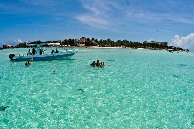 Whale Shark Tour from Cancun, Playa del Carmen, Tulum and Riviera Maya - Finding the whale sharks near Isla Contoy