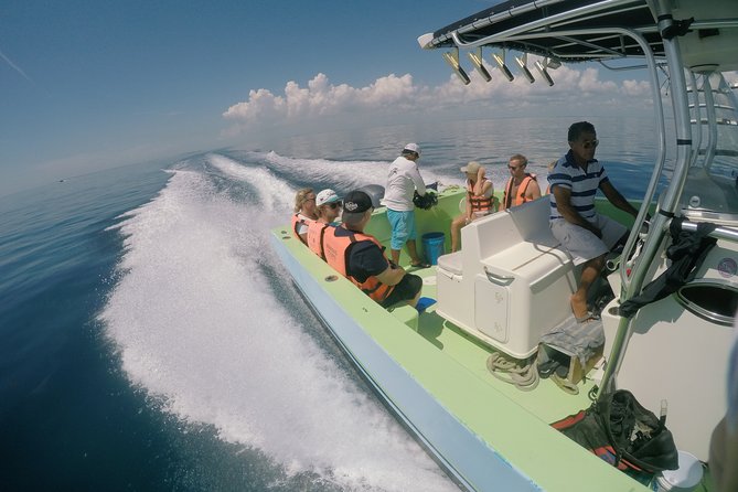 Whale Shark Tour from Cancun, Playa del Carmen, Tulum and Riviera Maya - Reef snorkeling before lunch