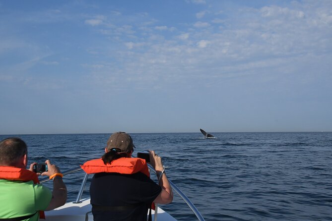 Whale Watching Adventure – Led by a Marine Biologist - Who will enjoy this three-and-a-half-hour outing