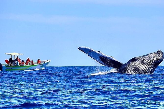 Whale Watching Cabo-Women crew-Sightings Guaranteed & Free Photos - Hearing humpbacks through the hydrophone
