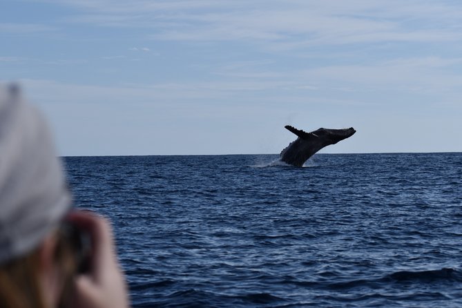 Whale Watching Cabo-Women crew-Sightings Guaranteed & Free Photos - What the two-hour format feels like