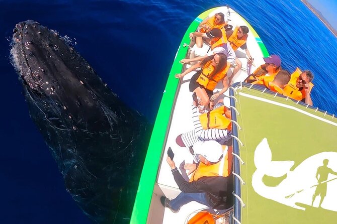 Whale Watching Cabo-Women crew-Sightings Guaranteed & Free Photos - The all-women crew and guide quality