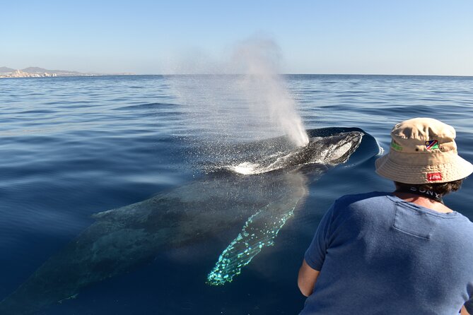 Whale Watching Cabo-Women crew-Sightings Guaranteed & Free Photos - Searching the Pacific or Sea of Cortez