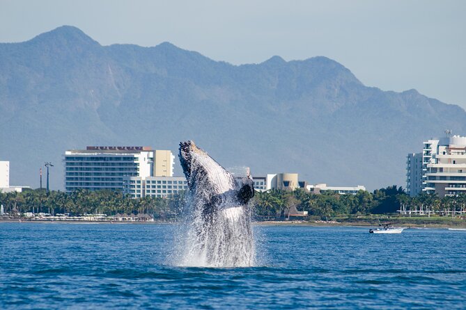 Whale Watching Cruise In Puerto Vallarta & Nuevo Vallarta - Breakfast first, then the open Pacific