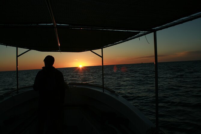 Whale Watching Group Tour in San Jose del Cabo - Conditions, comfort, and realistic expectations